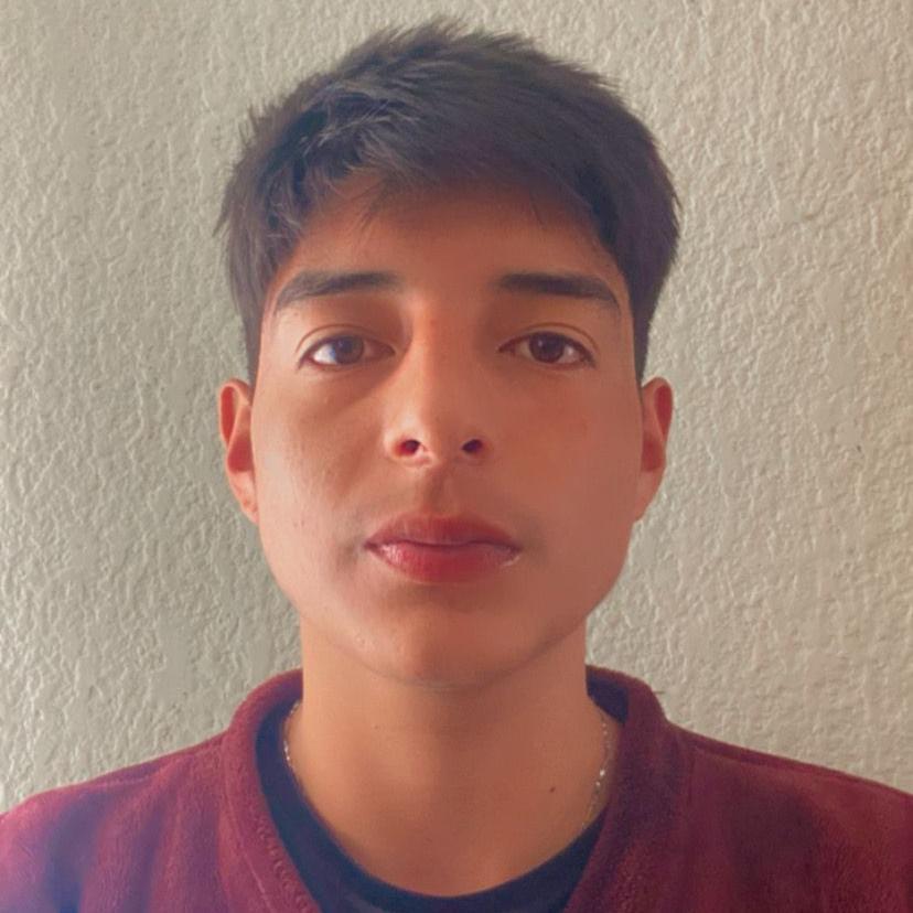 User Image